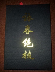 Wing Chun Bible box cover