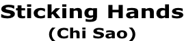 Sticking Hands (Chi Sao)