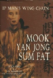 Portrait of a kung fu master cover