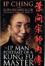 Portrait of a kung fu master cover