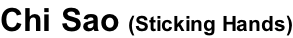 Chi Sao (Sticking Hands)