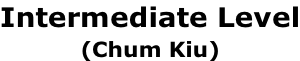 Intermediate Level (Chum Kiu)