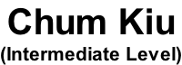 Chum Kiu (Intermediate Level)